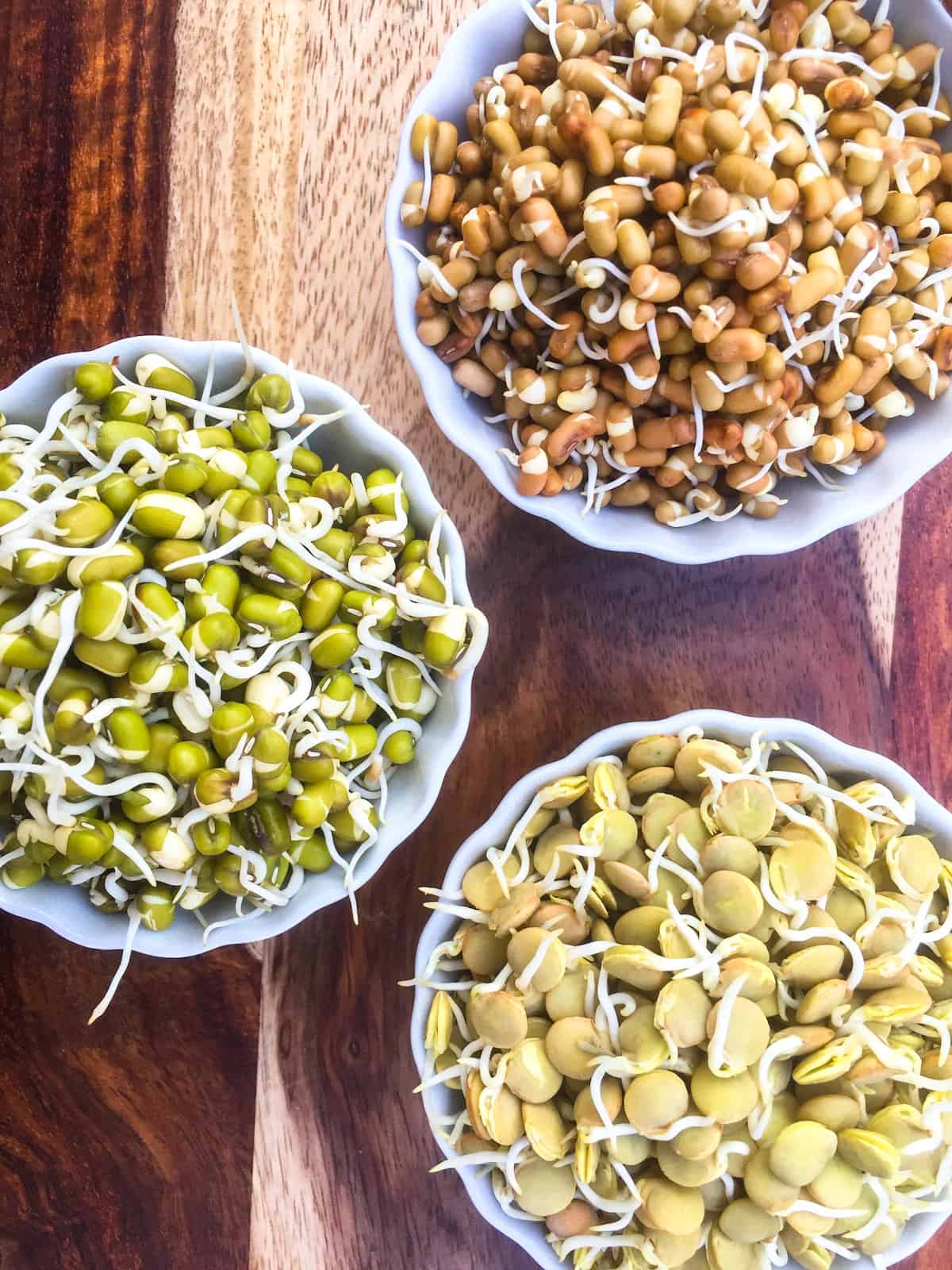Do you still hate Sprouts ?